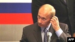 «Различные сценарии передачи власти не предполагают замену Путина другим сильным президентом»