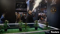 В павильоне Первой международной выставки Cannabis Expo в Афинах, январь 2018