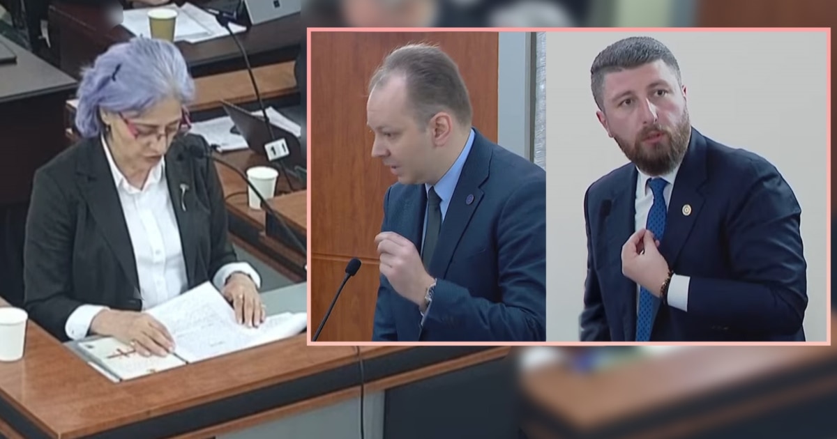 ჩემი სტუდენტები იყვნენ, რა საფრთხეს წარმოვადგენ მე? - კოპალეიშვილი „ოცნების“ დეპუტატებს