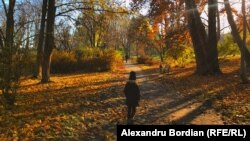 Найближчої ночі на поверхні ґрунту та місцями в повітрі очікуються заморозки
