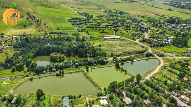 Լոռու Գյուլագարակ համայնքում զանգվածային խուզարկություններ են