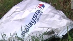 Катастрофа MH17. Иск против Путина (видео)