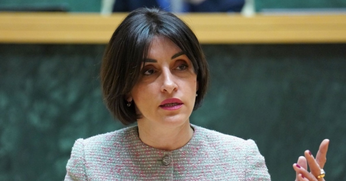 ბოჭორიშვილის თქმით, მაისში საქართველოში სახ. დეპარტამენტის წარმომადგენლები ჩამოვლენ
