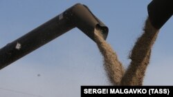 За даними Генштабу, зерно у фермерів відбирають в Улянівці Васильківського району