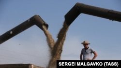 Болгарія, Польща, Румунія, Словаччина та Угорщина вимагають від Єврокомісії запровадження імпортних мит на українське зерно