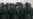 Russian authorities have pressured conscripts -- who are not allowed to be sent into combat -- to sign contracts for military service.