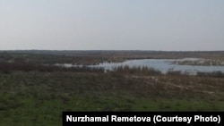 O‘zbekiston-Qozog‘iston chegarasiga yaqin Qog‘ali ko‘li cheti.