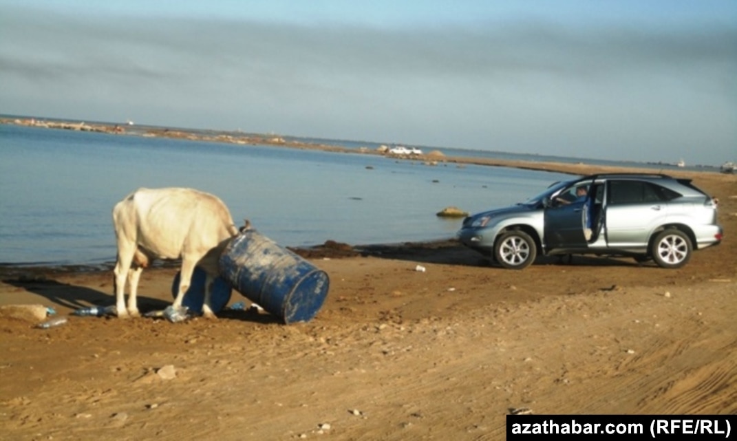 Sun, Sea, And Oil Slicks: Turkmenistan's Least Luxurious Beach Resort