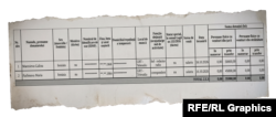 Imagine stilizată grafic după raportul financiar depus la CEC de candidata Ivanna Koksal, în care apar numele și funcțiile celor două jurnaliste.
