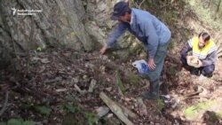 رمیز نوکیچ د مړو د هډوکو پسې ګرځي