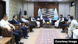 دیدار وزیر صنعت و تجارت حکومت طالبان با سرمایه گذاران چینی