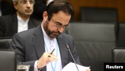 Iran's ambassador to the International Atomic Energy Agency (IAEA) Reza Najafi says Tehran supports the New NPT