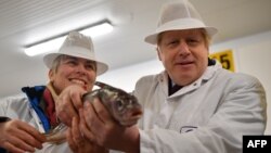 Boris Johnson ținînd un pește. În capitolul despre pescuit a trebuit să se treacă prin fiecare specie de pește, pentru a decide cotele exacte. Textul are 2000 de pagini.