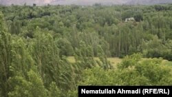 آرشیف، یک باغ سیب در بدخشان