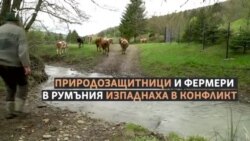 Убийството на мечката Артур