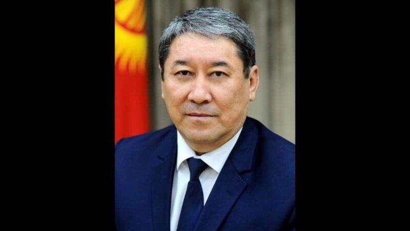 Кудайбергенов: Өзбекстандан 350 автобус алынышы мүмкүн