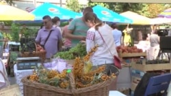 Festivalul strugurilor timpurii...fără struguri