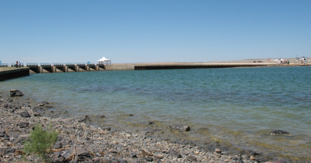 Порно фотосуреттерді құсу