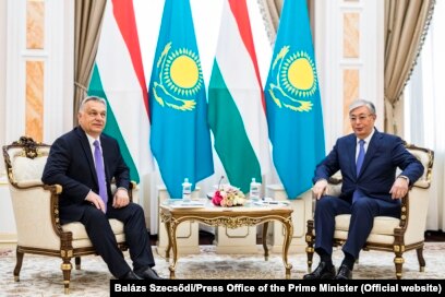 Mushukni yalayotgan ayolning porno videolari