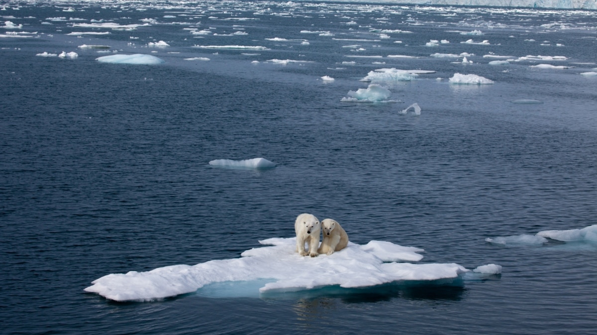 Загрязнение Северного Ледовитого океана