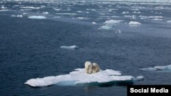 The Arctic is warming at double the rate of the rest of the planet.