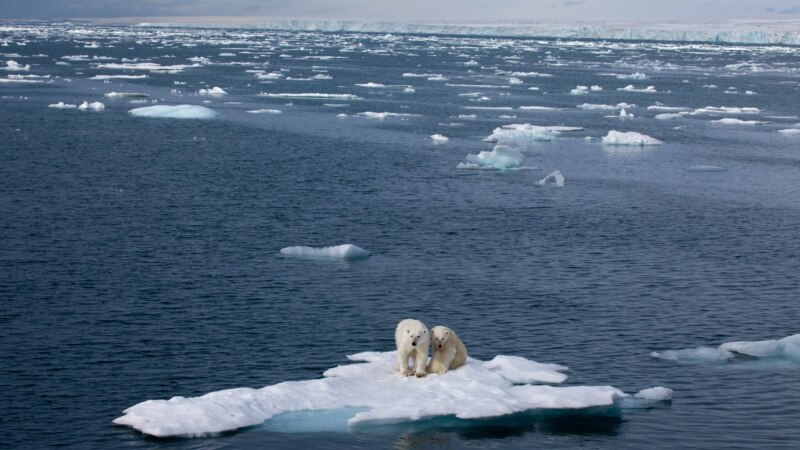 Temperaturat e larta në Arktik thyejnë rekordet