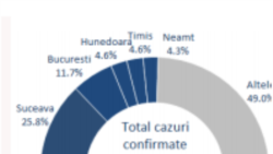 Total cazuri confirmate 6.633 (2.155)