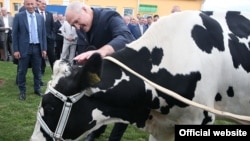 During a farm visit in 2016, Belarusian President Alyaksandr Lukashenka was presented a cow.