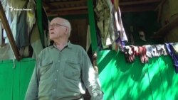 Кавказянки – кавказская разновидность пчел