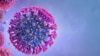 Servicii secrete americane: Două ipoteze pentru originea coronavirusului 