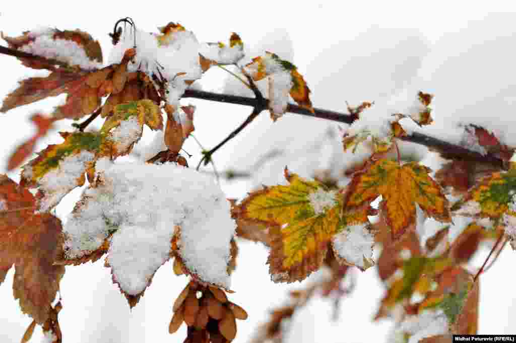 Sarajevo, 26. novembar 2013. 