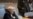 Iran Appoints New UN Envoy