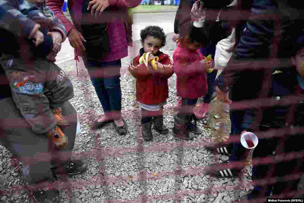 Dječak stoji sa svojom porodicom ispred šatora u kojem policija vrši registraciju izbjeglica u prihvatnom centru u Opatovcu, pored grada Tovarnik u Hrvatskoj.Ovdje se vrši registracija izbjeglica koje su iz Srbije došle u Hrvatsku. Nakon registracije, izbjeglice nastavljaju put prema Sloveniji, većina izbjeglica želi da stigne u Njemačku.