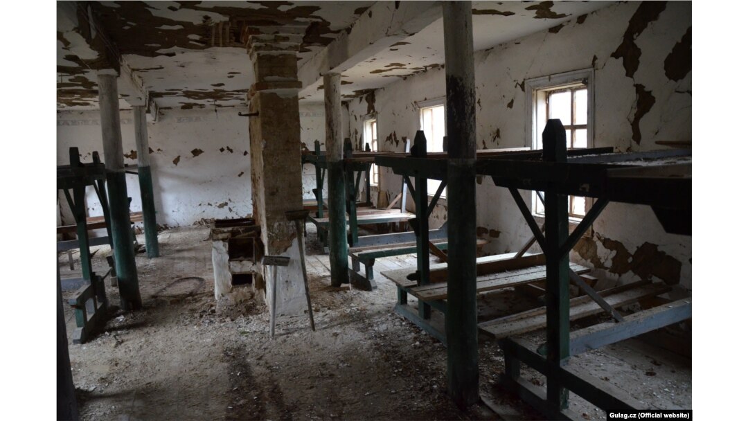 Қыздардың қынаптарының фотосуреттері