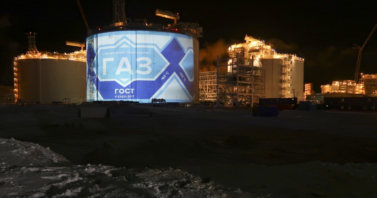Країни ЄС збільшили імпорт зрідженого природного газу з Росії