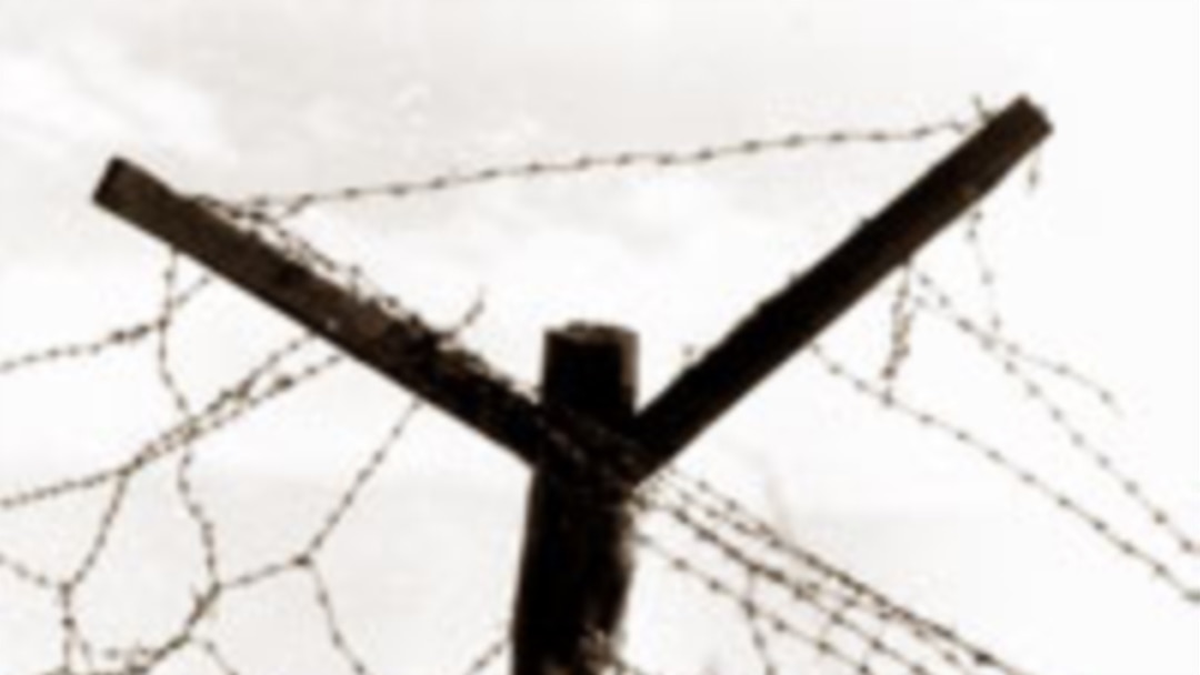 Догги стиліндегі жалаңаш қыздардың жақын жоспары