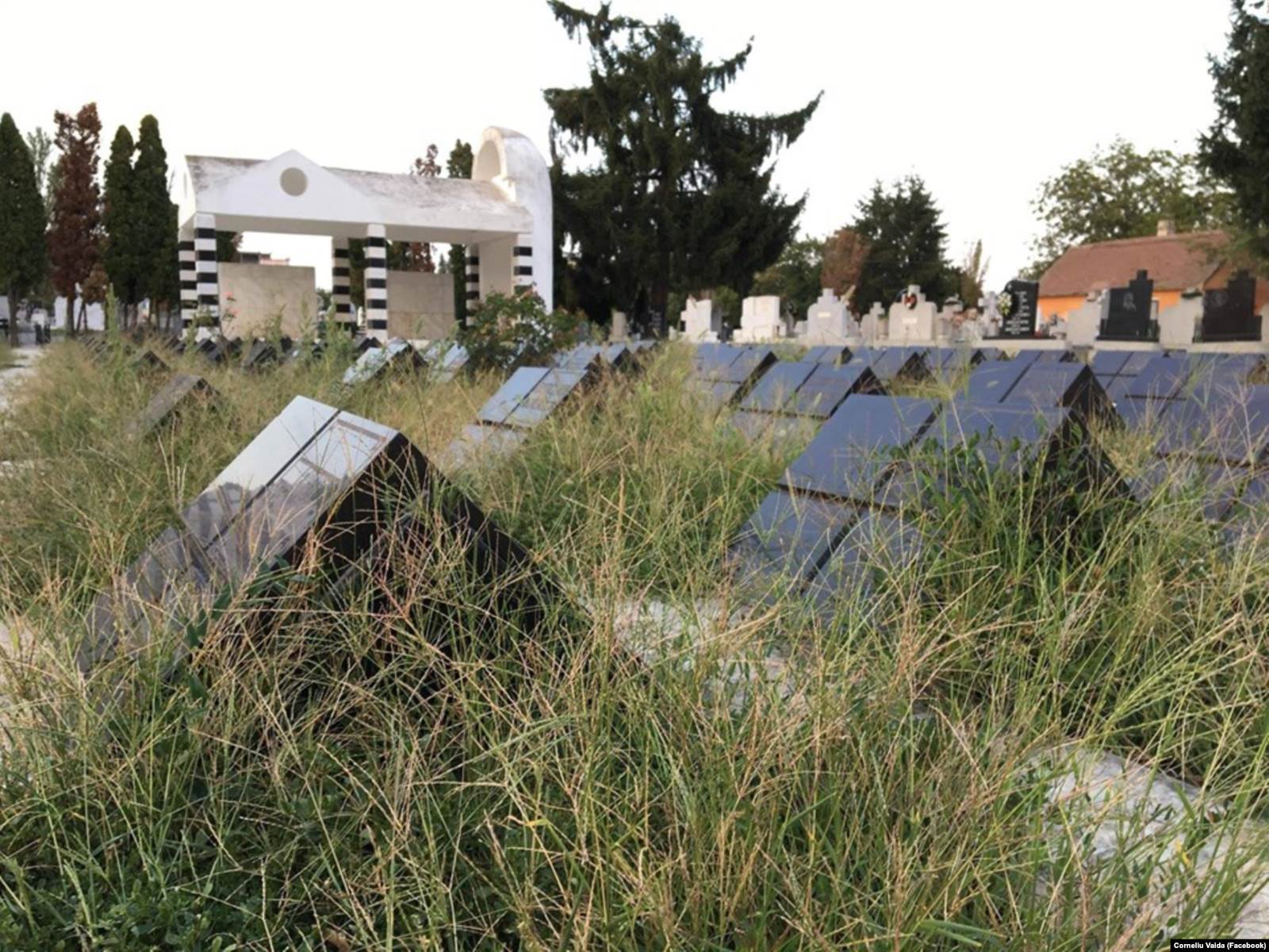  Morminte neglijate în Cimitirul Eroilor
