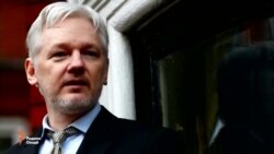 Раҳбари хадамоти иктишофи ИМА "Wikileaks"-ро душман номид