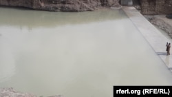 آرشیف، عکس جنبه تزئینی دارد