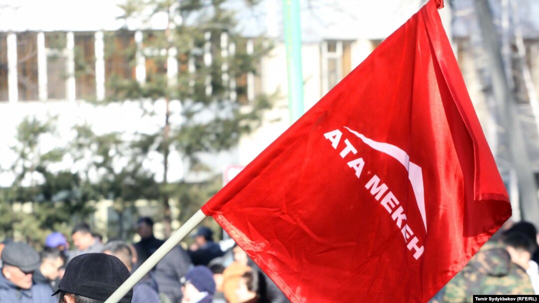 "Ата Мекен" партиясынын желеги.