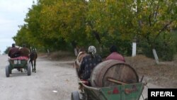 Așa arată dezvoltarea umană în satul Negrești, Strășeni (foto I. Ciocan)