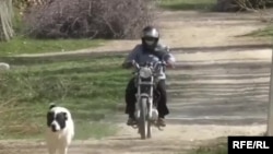 Мотоцикліст, ілюстративне фото