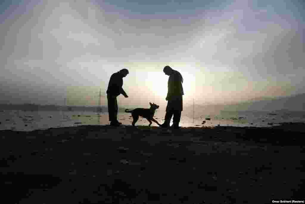 Afghan men play with a dog in the early morning in Kabul. (Reuters/Omar Sobhani)