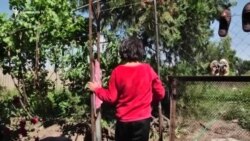 Տուն ունենալու երազանքով. Արշակյանների բազմանդամ ընտանիքը` Հադրութից Արարատ