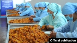 USAID is often directed toward economic development, such as this fruit-processing plant in Kyrgyzstan (file photo).