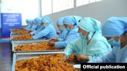 USAID is often directed toward economic development, such as this fruit-processing plant in Kyrgyzstan (file photo).