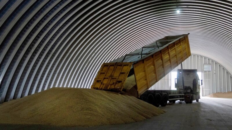 Poland Says Ban On Ukrainian Grain Will Apply To Transit Goods