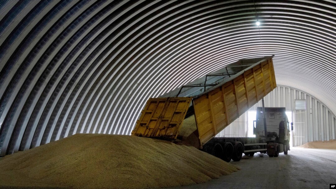 Farmers in several EU countries have been protesting after a slump in food prices blamed on a glut of Ukrainian grain and other agricultural products. (file photo)
