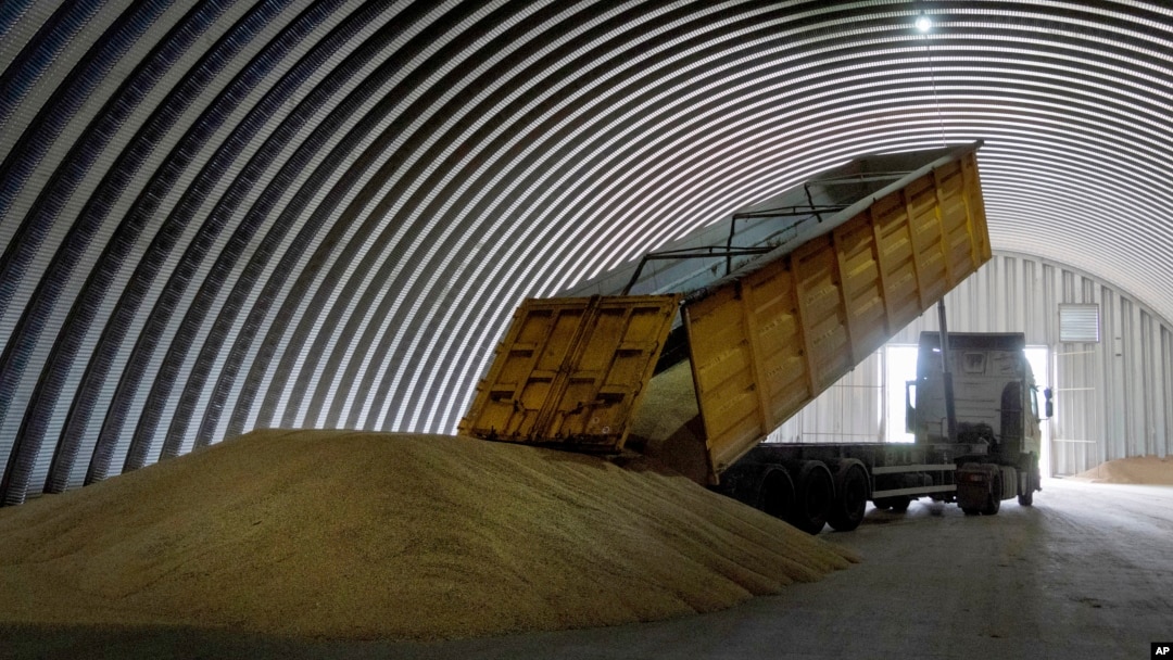 A dump truck unloads grain in a granary in the village of Zghurivka, Ukraine.