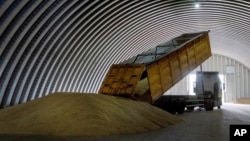 A dump truck unloads grain in a granary in the village of Zghurivka, Ukraine.